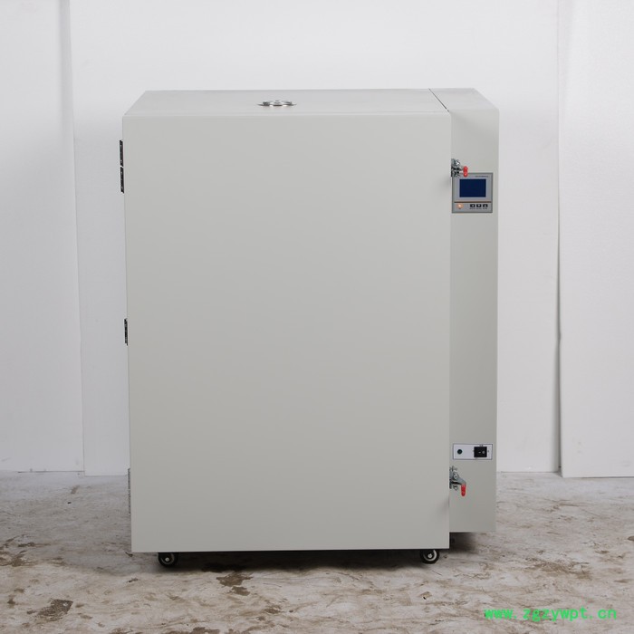 400℃高温烘箱 DHG-9096A 上海厂家 现货直销 可定做定制600℃高温鼓风干燥箱 充氮干燥箱图2