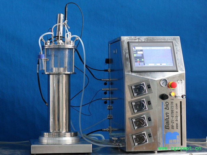 百仑玻璃发酵罐BLBIO-XGC/BLBIO-XGJ反应器图5