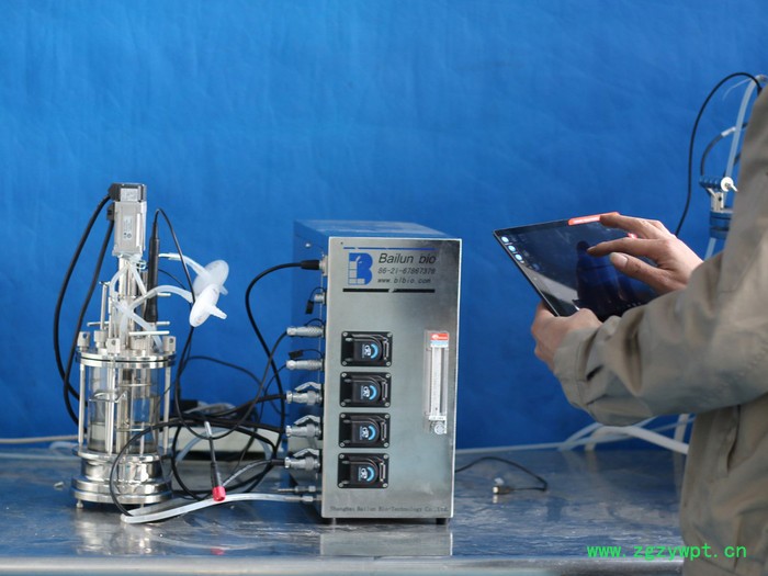 百仑玻璃发酵罐BLBIO-XGC/BLBIO-XGJ反应器图7