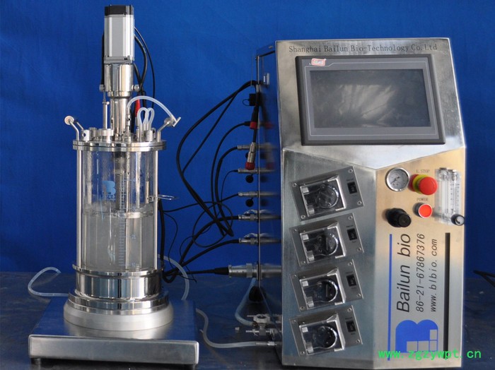 百仑玻璃发酵罐BLBIO-XGC/BLBIO-XGJ反应器图4