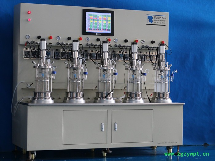 百仑玻璃发酵罐BLBIO-XGC/BLBIO-XGJ反应器图2