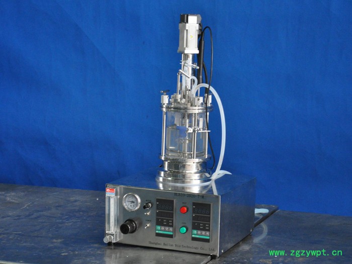 百仑玻璃发酵罐BLBIO-XGC/BLBIO-XGJ反应器图8