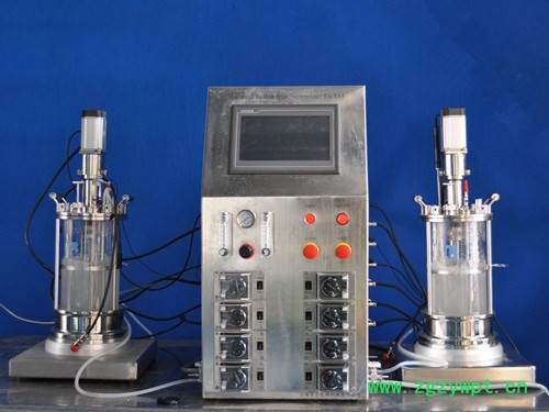 百仑玻璃发酵罐BLBIO-XGC/BLBIO-XGJ反应器