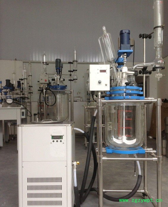 上海双层玻璃反应釜 10L玻璃反应釜 双层玻璃反应器 反应釜图3
