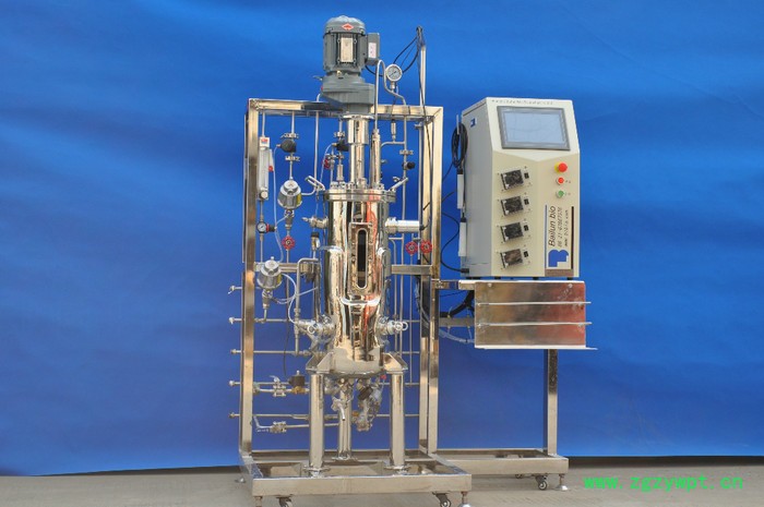 供应百仑BLBIO生物反应器图2