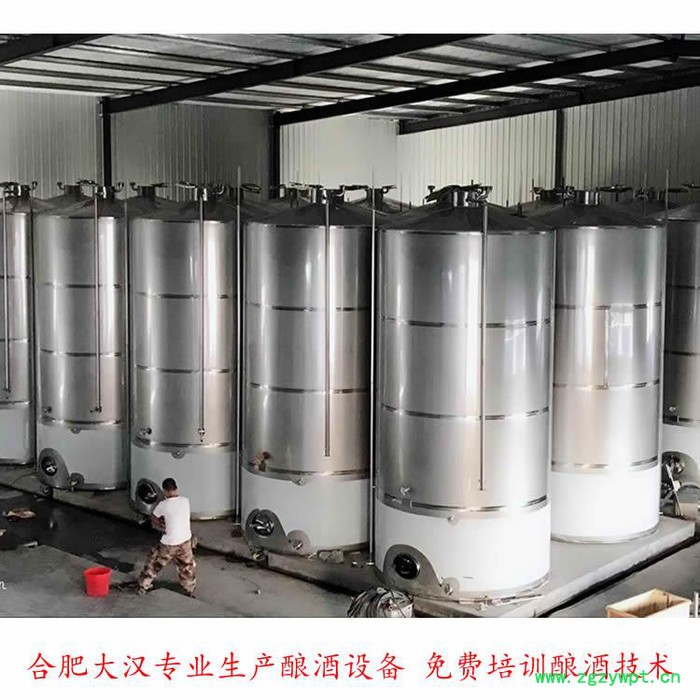 大汉蓝莓果酒设备厂家 果酒发酵罐 安徽酿酒设备批发