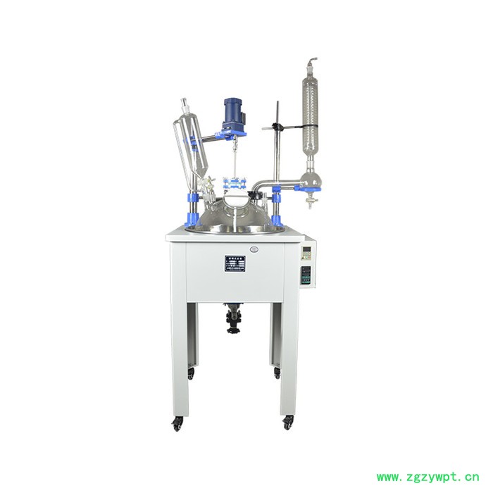 单层玻璃反应釜F-100L 多功能单层玻璃反应器 上海科升 质保一年 单层釜图2