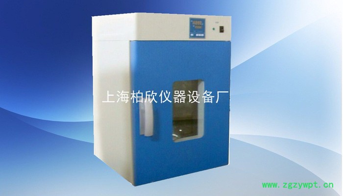 供应柏欣仪器DHG-9145A立式300度鼓风干燥箱 恒温烘箱 上海老化箱