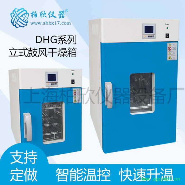 供应柏欣仪器DHG-9145A立式300度鼓风干燥箱 恒温烘箱 上海老化箱图2