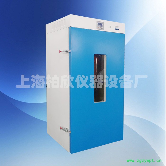 供应柏欣仪器大容量烘箱 DHG-9640A立式300度鼓风干燥箱图2