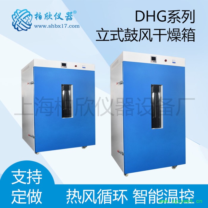 供应柏欣仪器大容量烘箱 DHG-9640A立式300度鼓风干燥箱图3
