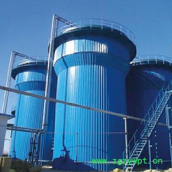 UASB厌氧反应器 湖南大有节能环保有限公司专业定制图5
