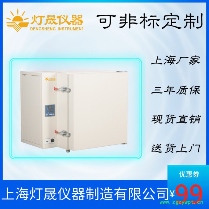 高温烘箱 DS-218上海厂家 现货直销 定制定做500℃高温鼓风干燥箱 高温烤箱图4