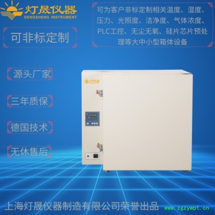 高温烘箱 DS-218上海厂家 现货直销 定制定做500℃高温鼓风干燥箱 高温烤箱图5