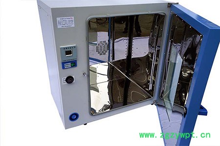 防爆烘箱BGX-198 上海厂家现货直销 非标定制定做 防爆干燥箱 箱体设备图3