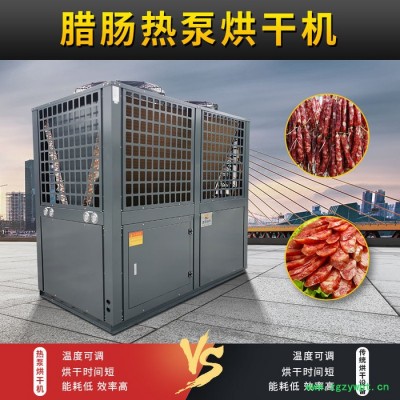 腊肠烘干机 腊肠烘箱辣椒烘干箱 精密恒温烘干箱 腊肠脱水烘干机