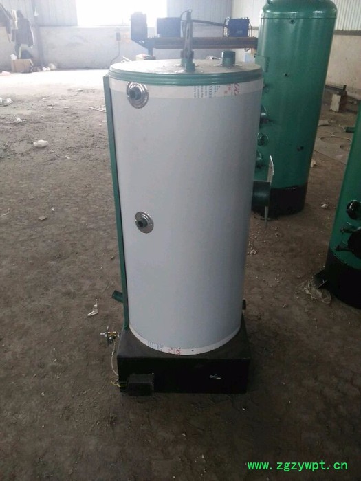 鲁通CLSG 发酵罐蒸汽锅炉   反应釜夹层锅搅拌机乳化机燃煤蒸汽锅炉  常压蒸汽锅炉厂家图7