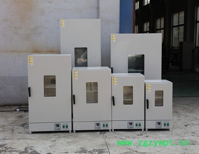 上海和晟 HS-DHG-9070A 电热恒温鼓风干燥箱  实验室烘箱图3