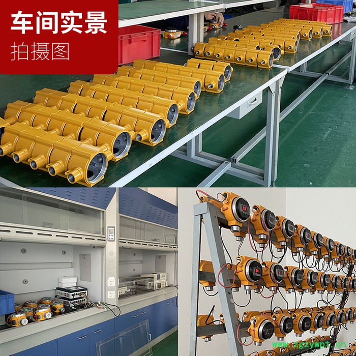 壁挂式 硫化氢在线气体分析仪 厂家供应图7