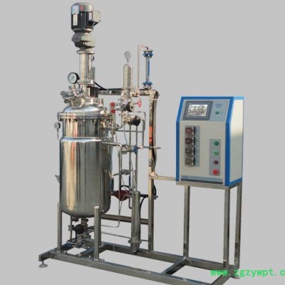 江苏绿扬KRH-APJ 100L机械搅拌不锈钢发酵罐