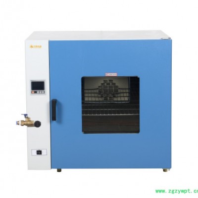 充氮鼓风干燥箱DS-965LC 上海厂家现货直销 立式充氮烘箱 定制定做大型干燥箱 工业烤箱