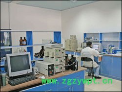 上海气谱专用气相色谱仪SP-100系列多组分气体分析仪图3