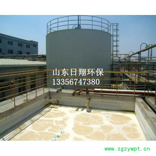 日翔环保RXIC厌氧反应器**图5
