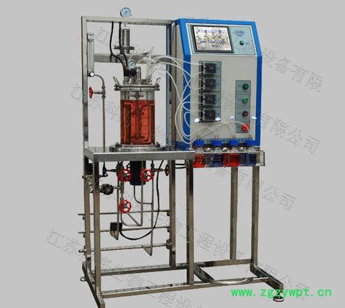 KRH-AM磁耦搅拌玻璃发酵罐图2