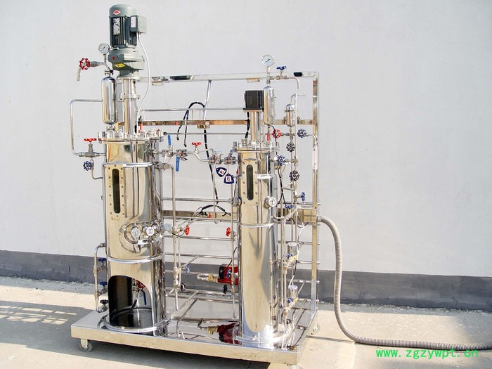 鼎星  实验室玻璃机械搅拌发酵罐