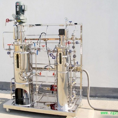 鼎星  实验室玻璃机械搅拌发酵罐