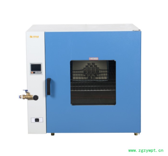 充氮鼓风干燥箱DS-1000LC 立式充氮烘箱 定制定做大型干燥箱 工业烤箱图3