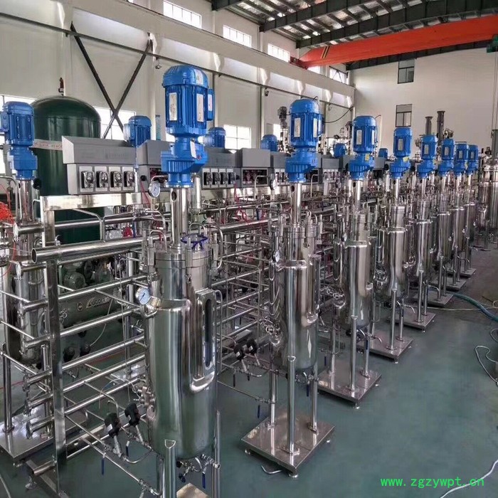 佳德JD-SAFM-20L 不锈钢发酵罐图2