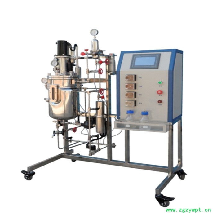 佳德JD-SAFM-20L 不锈钢发酵罐图4