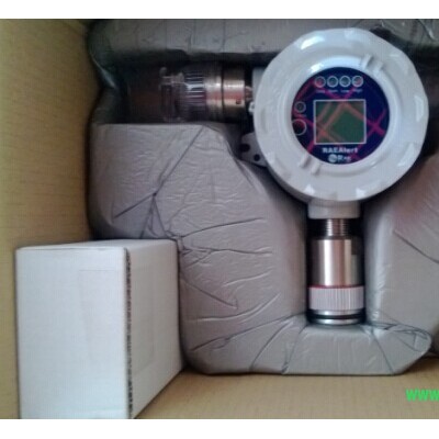 RAE/华瑞FGM-3300气体分析仪