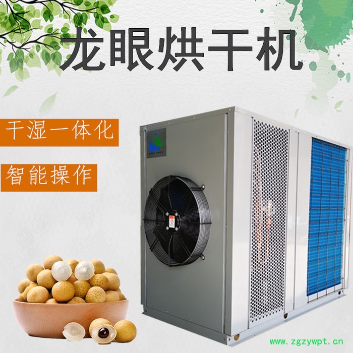 龙眼烘干机 热风循环烘箱 商业大型水果烘干机图4