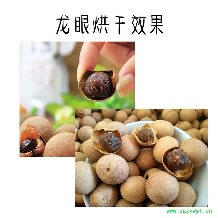 龙眼烘干机 热风循环烘箱 商业大型水果烘干机图2