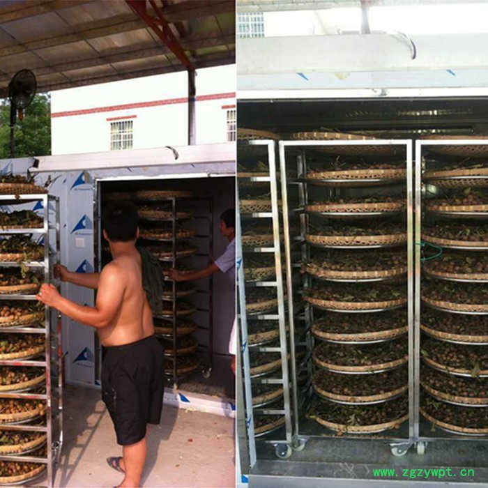 龙眼烘干机 热风循环烘箱 商业大型水果烘干机图5