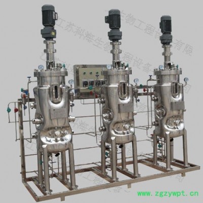 供应KRH-DWJ系列植物细胞光合培养不锈钢发酵罐