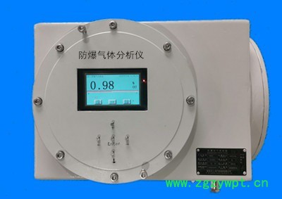 DEN-IEX 防爆红外气体分析仪图4