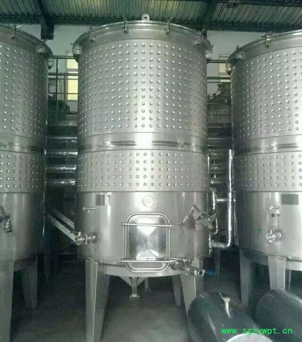鑫诚026 果酒设备 储存罐 发酵罐图2