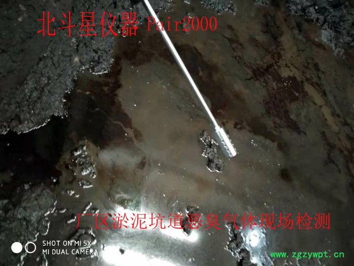 北斗星仪器pGas2000-5S 环境综合气体分析仪 环境空气污染源监测图2