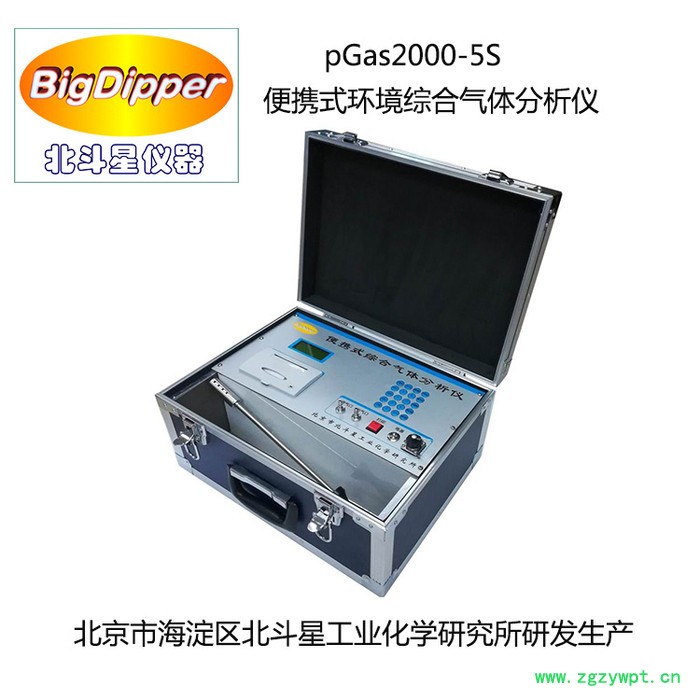 北斗星仪器pGas2000-5S 环境综合气体分析仪 环境空气污染源监测图3