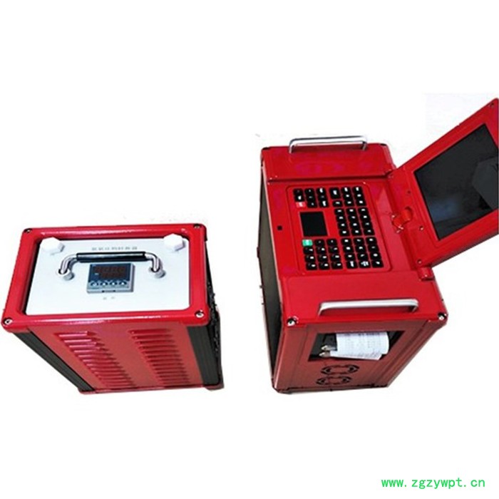 LOOBO/路博  LB-3010非分散红外烟气分析仪  欢迎来电咨询 气体分析仪图2