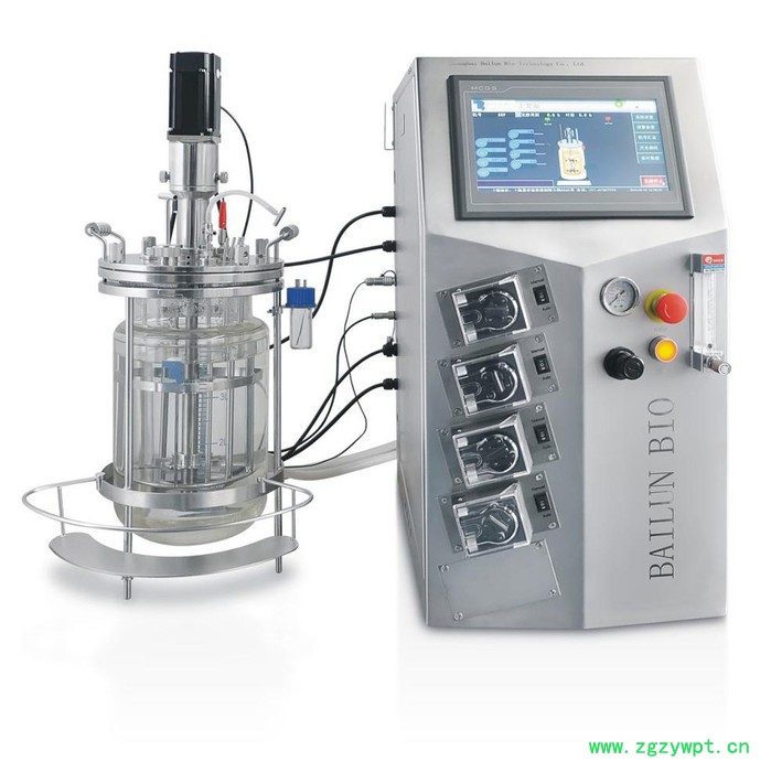 百仑BLBIO-5GJ 5升机械搅拌玻璃发酵罐图5