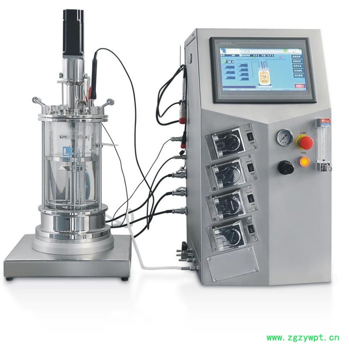 百仑BLBIO-5GJ 5升机械搅拌玻璃发酵罐