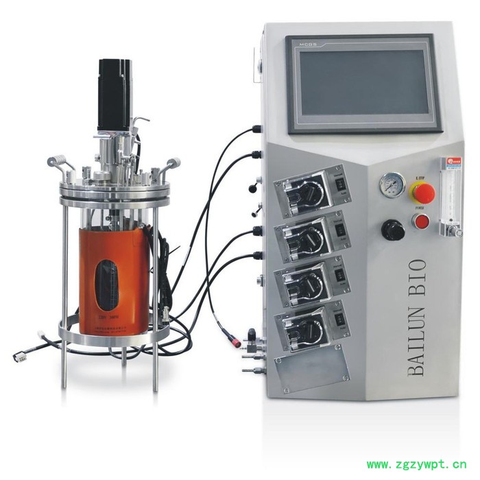 百仑BLBIO-5GJ 5升机械搅拌玻璃发酵罐图2