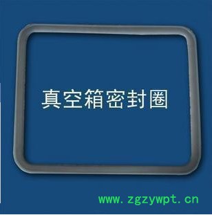 供应真空干燥箱/真空烘箱DZF-6050 真空密封圈图3