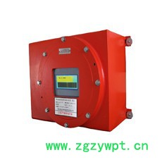 西安博纯pue-501 多组分气体分析仪/一台表多组分同时分析仪图5