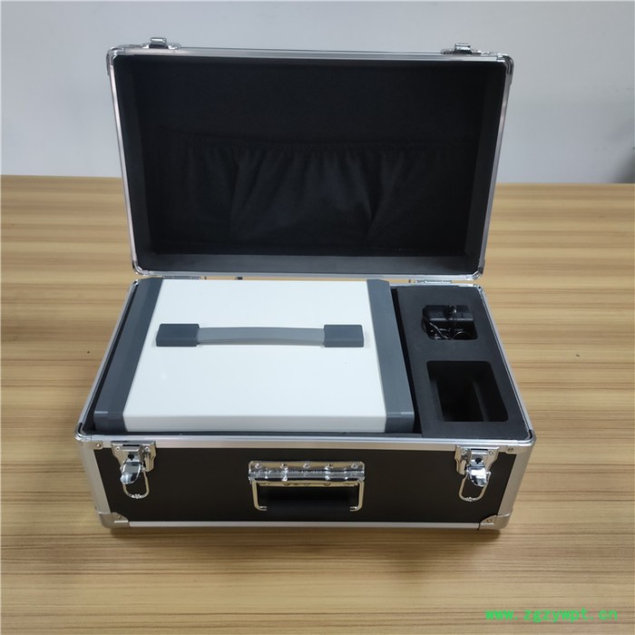 红外线CO2气体分析仪 不分光红外线气体分析仪 co红外线气体分析器国瑞力恒GR2015型图2