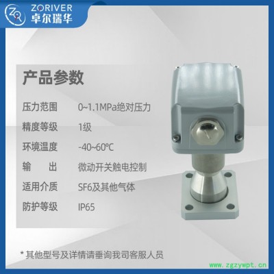 TRAFAG/瑞士SF6气体分析仪 电接点压力传感器 气体分析仪 SF6气体密度继电器 电力电站SF6密度监测仪